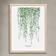 30x40Botanicas-Perlas