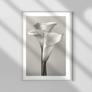 Flor 6431 Blanco